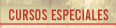 CURSOS ESPECIALES
